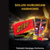 5 Golo Suplemen Tahan Lama Anti Ejaklualsi Pria serbuk Praktis 1 Box Isi 5 sachet - GOLO
